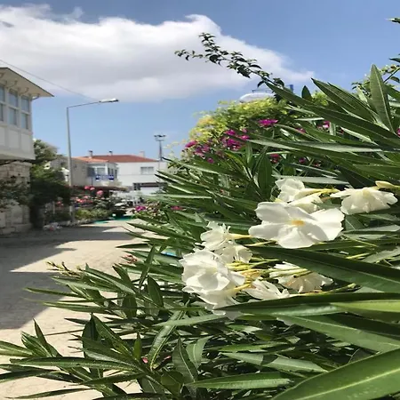 בית הארחה Beyaz Ev אלאקאטי