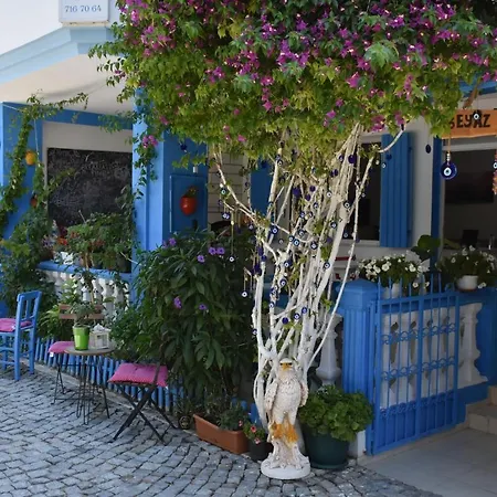 Beyaz Ev בית הארחה אלאקאטי