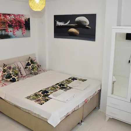 בית הארחה Beyaz Ev אלאקאטי